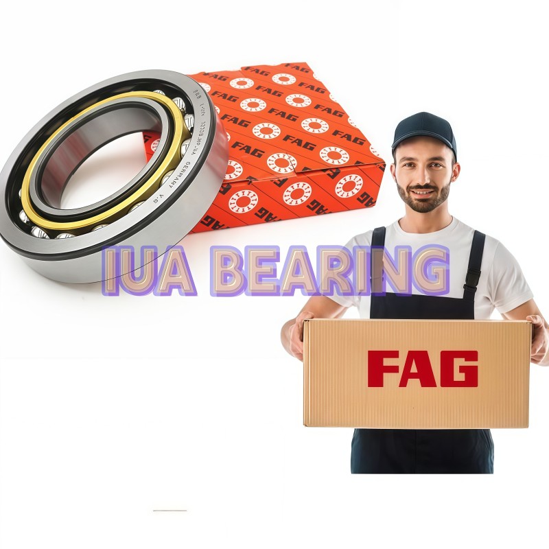 FAG Bearings