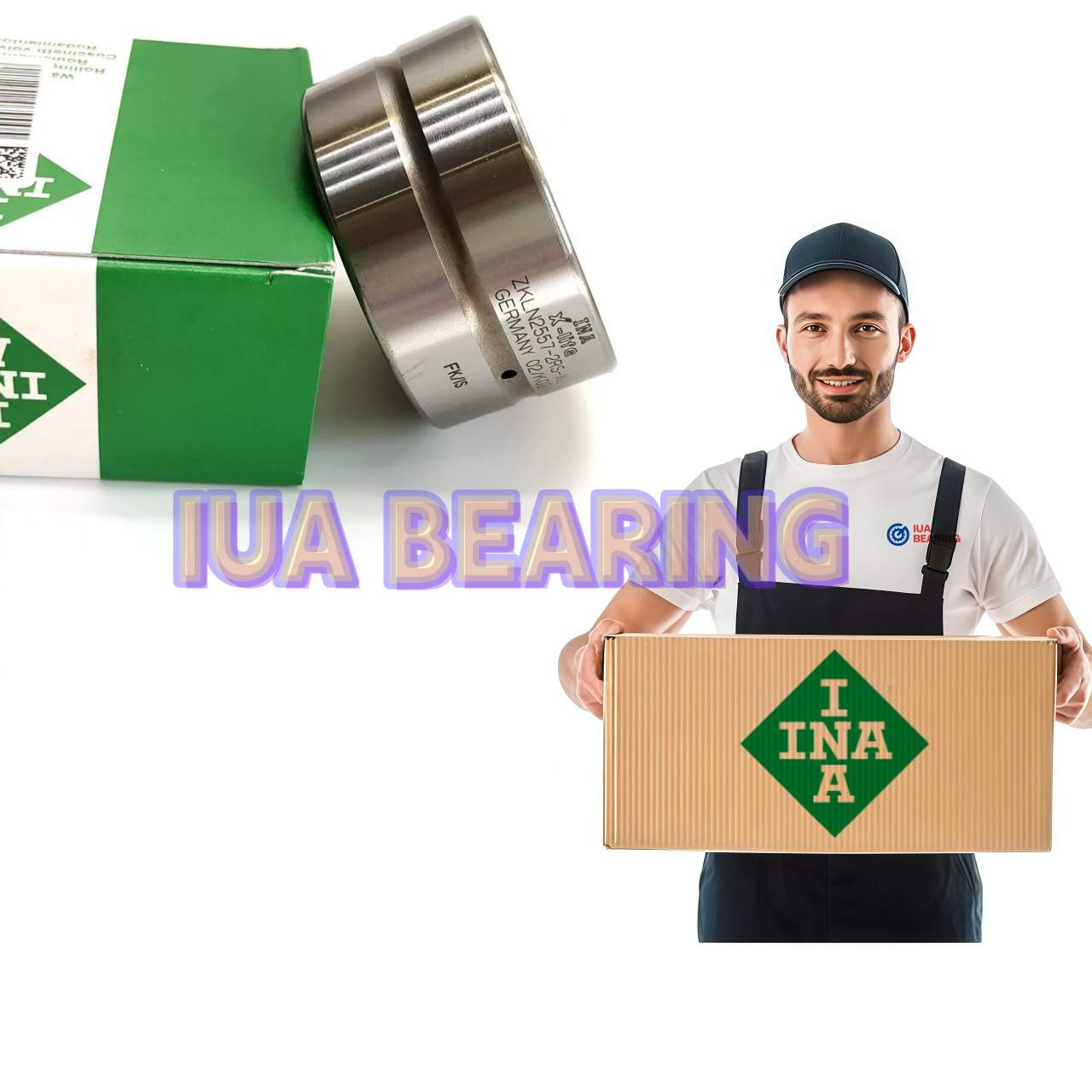 INA bearings EGB1005-E40-B