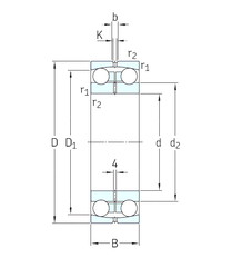 13000-skf